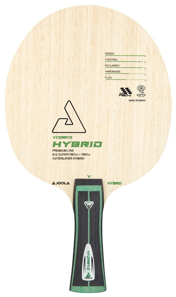 Vyzaryz Hybrid_resize
