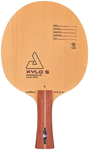 Xylo 5_resize